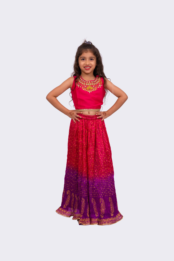 Twisha Girls Sleeveless Embroidered Top with Lehenga -Pink & Purple