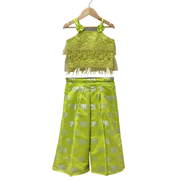 Twisha Woven Net Sleeveless Embroidered Top With Printed Palazzo- Limegreen