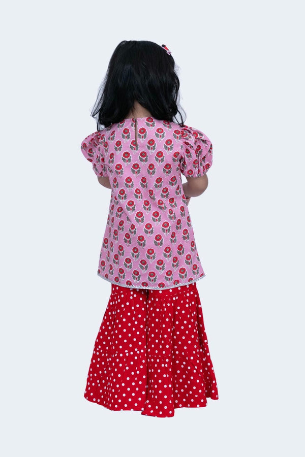 Twisha Girls Top & Sharara Set -Pink & Red